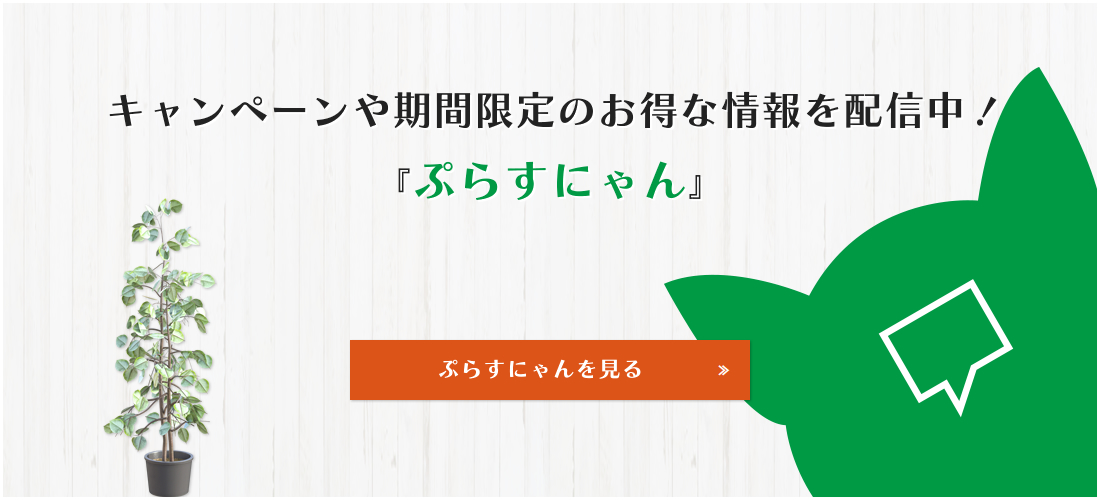 キャンペーンや期間限定のお得な情報を配信中！『ぷらすにゃん』